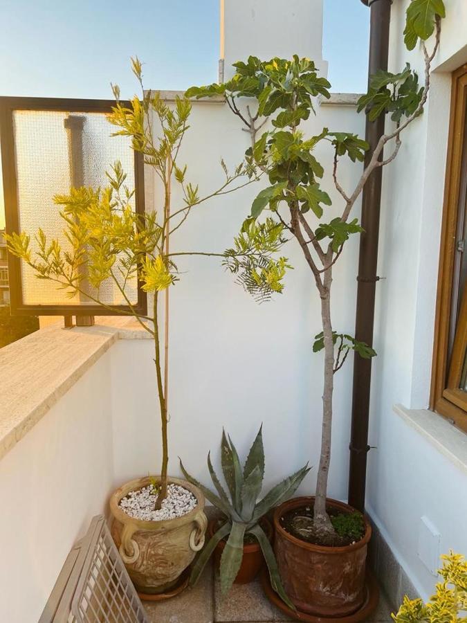 Ostium Sea Star Hotell Lido di Ostia Eksteriør bilde